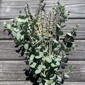 Eucalyptus and Lavender Bundle