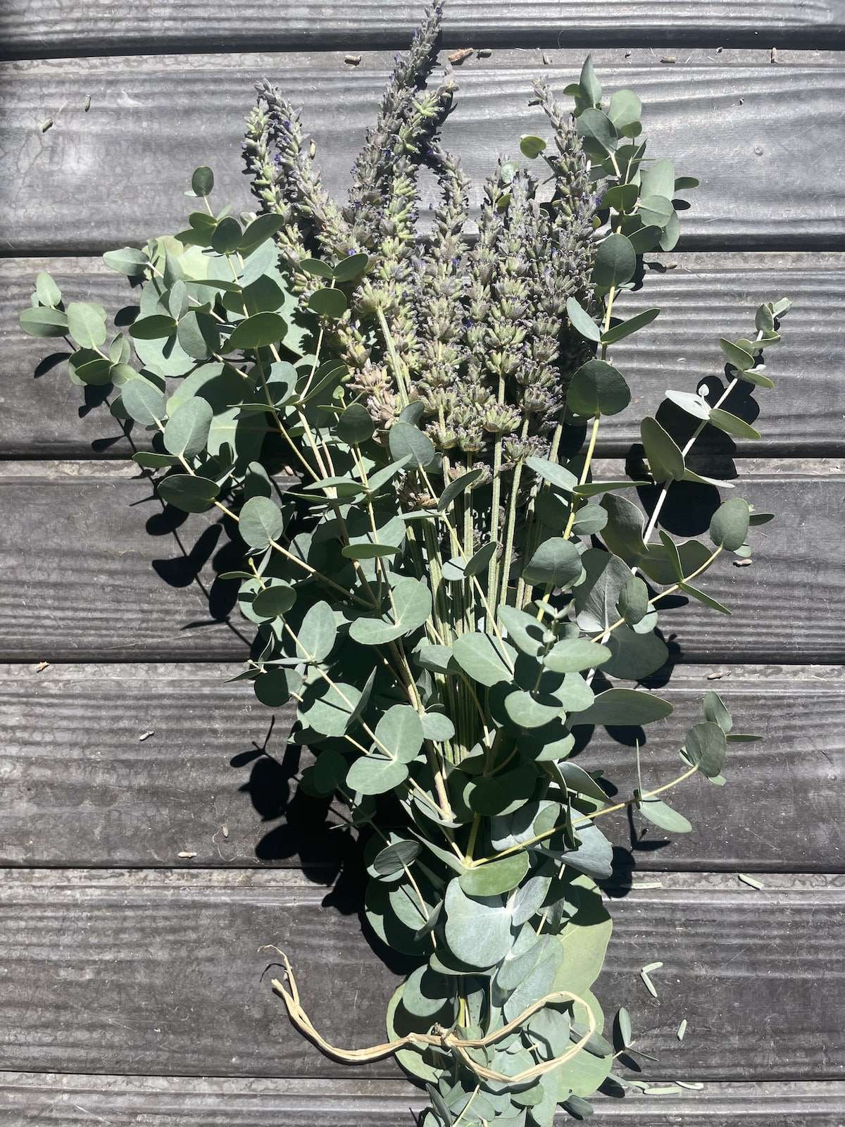 Eucalyptus and Lavender Bundle