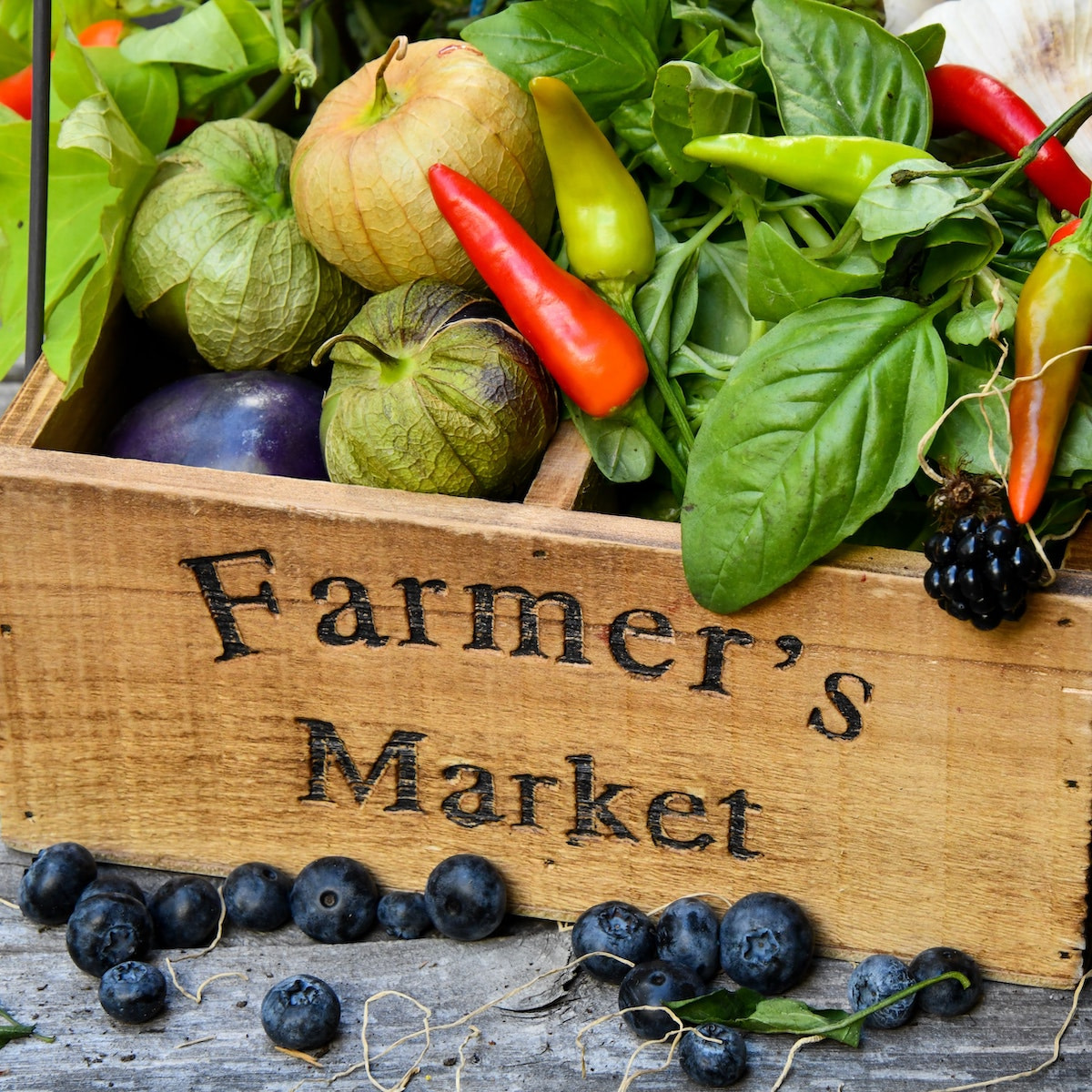 September at Hollywood Farmers’ Market